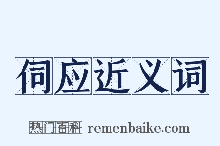 伺应近义词是什么意思的图片